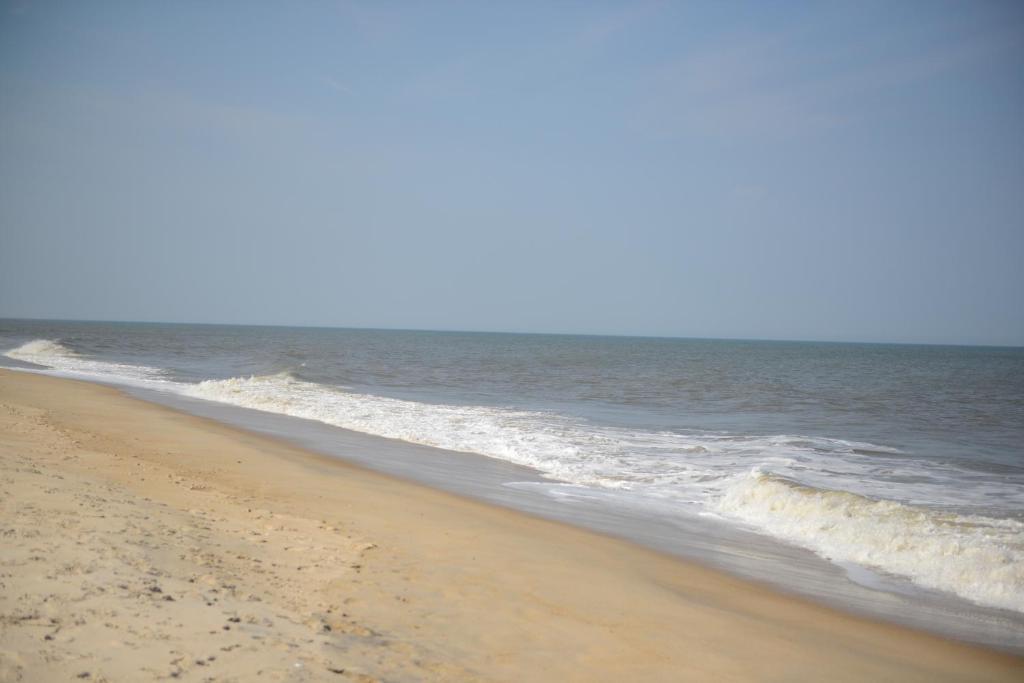Beach House Dewey Dewey Beach Exteriör bild